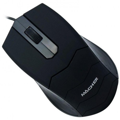 mouse model MR-40