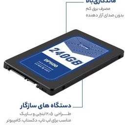 Data Plus DP800 Internal SSD