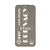 گلس ESD Privacy Anti Static آیفون iPhone 11 / XR