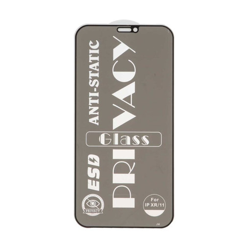 گلس ESD Privacy Anti Static آیفون iPhone 11 / XR