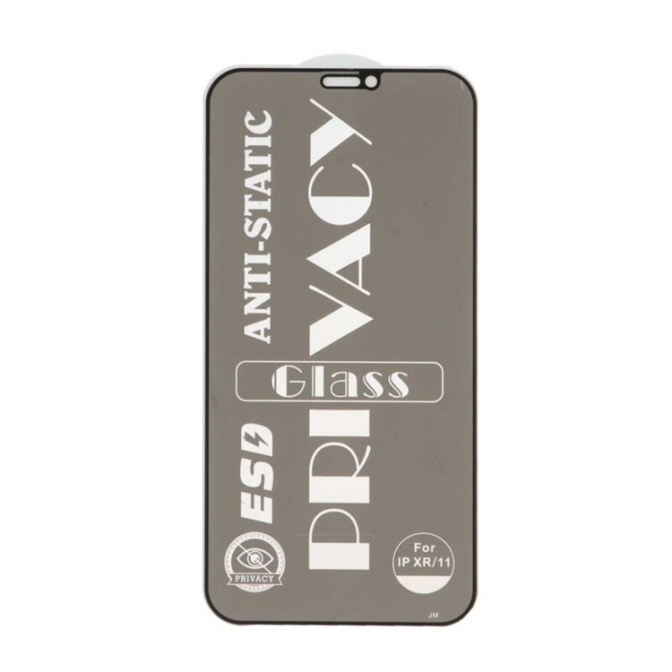 گلس ESD Privacy Anti Static آیفون iPhone 11 / XR