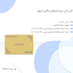 X-Energy Gold Drive 128GB Internal SSD
