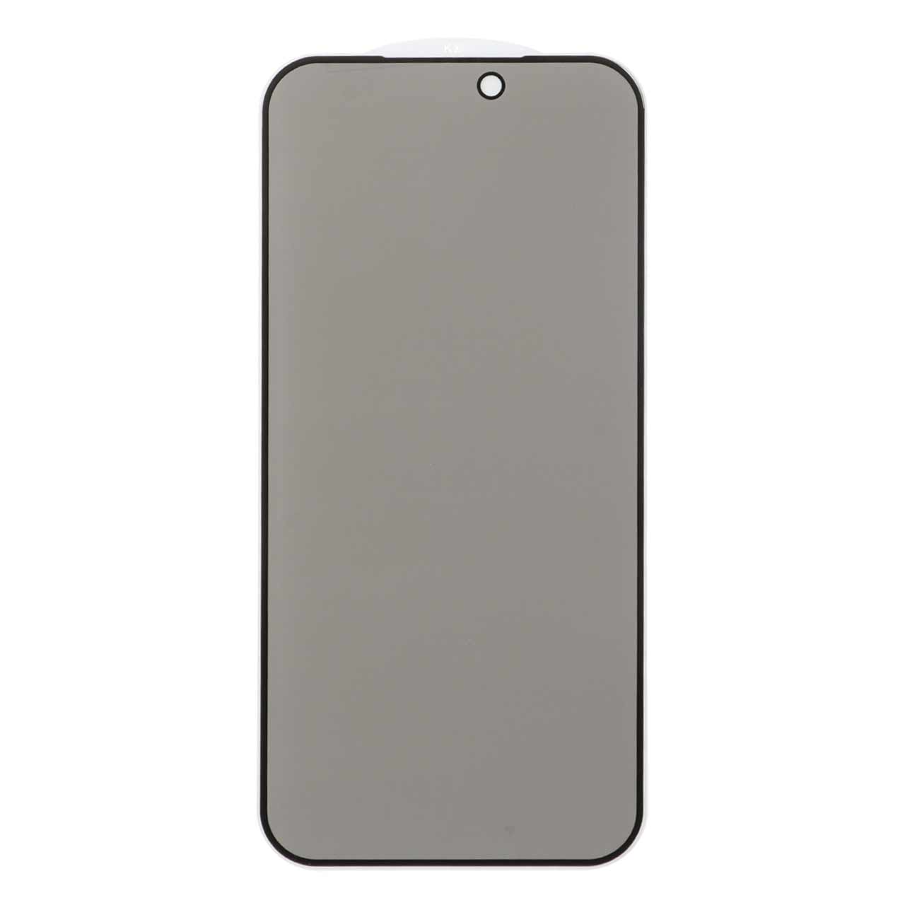 محافظ صفحه نمایش شیشه ای Privacy مدل Apple iPhone 17 Pro Max